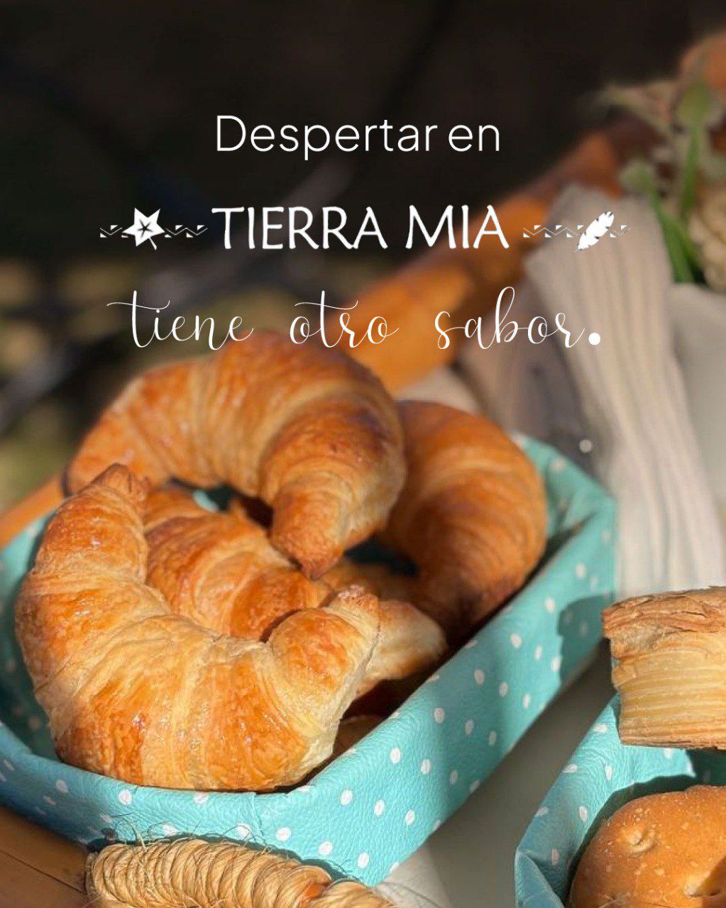 Complejo Tierra Mía