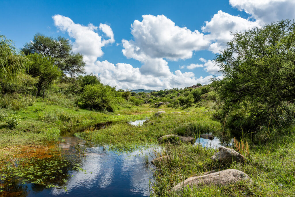 Campaña Turística 2025/26 Nono
