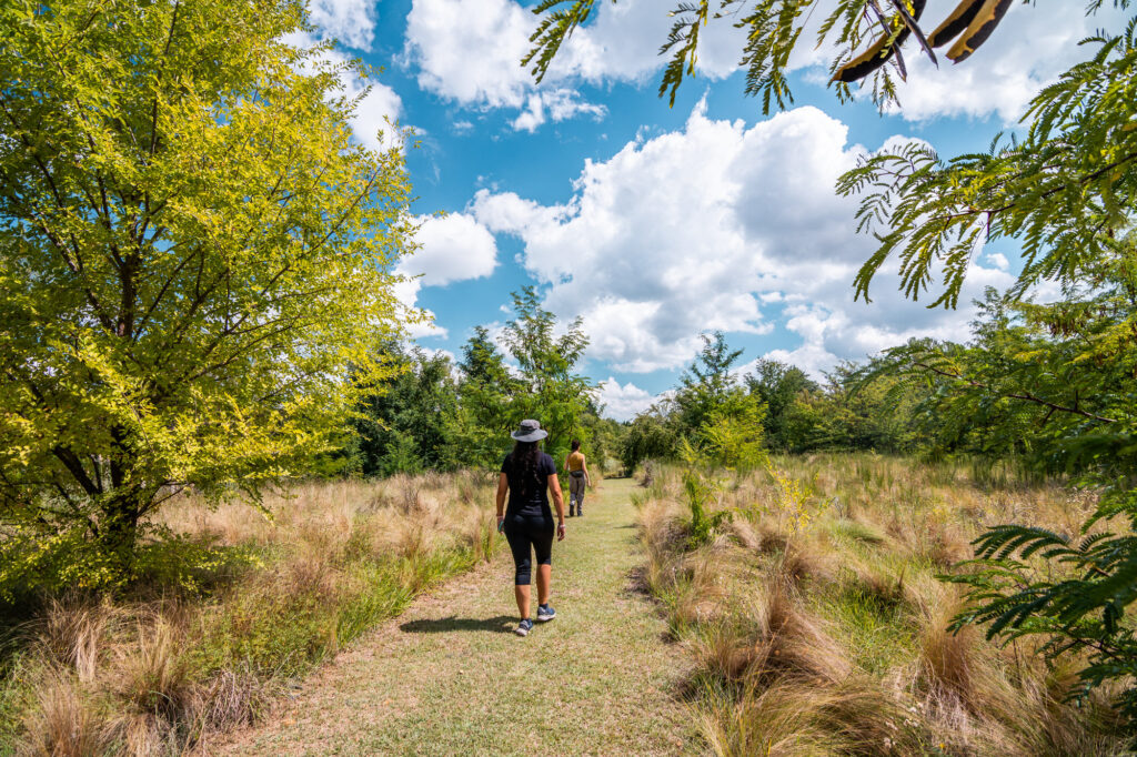 Campaña Turística 2025/26 Nono