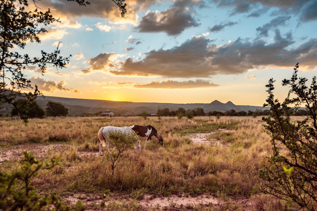 Campaña Turística 2025/26 Nono