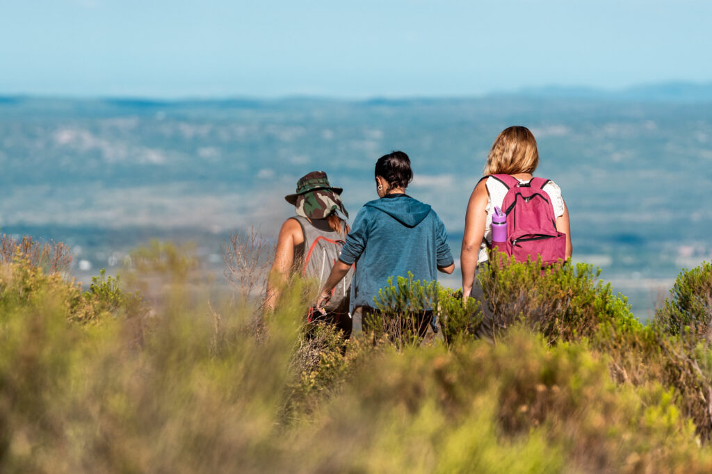 Campaña Turística 2025/26 Nono
