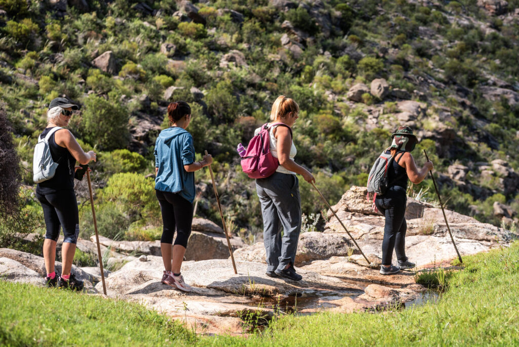 Campaña Turística 2025/26 Nono